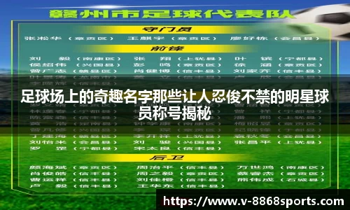 足球场上的奇趣名字那些让人忍俊不禁的明星球员称号揭秘